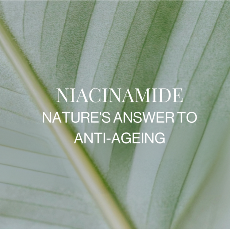 ELEVATE YOUR SKINCARE ROUTINE WITH NIACINAMIDE